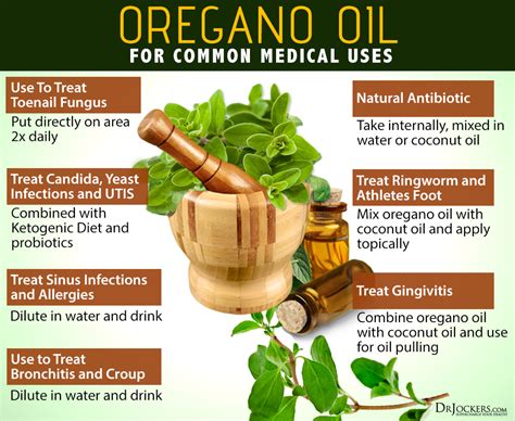 Madic Seaweed Oregano: A Promising Anti-inflammatory Agent